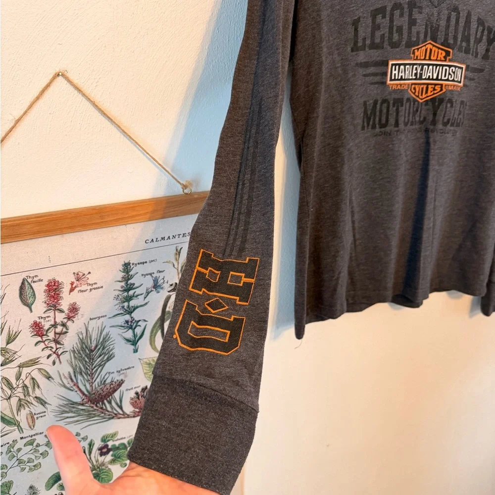 Large - Harley Davidson - Charcoal V-Neck Long Sleeve - Picture 5 of 8